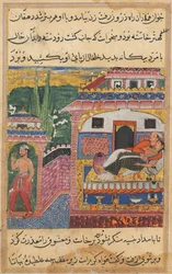Page from Tales of a Parrot Tuti-nama: Eighth night: The farmer, father of the son