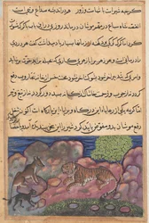 Page from Tales of a Parrot Tuti-nama: Fifteenth night: The wolf advises the lion