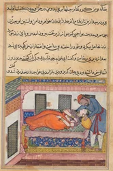 Page from Tales of a Parrot Tuti-nama: Fortieth night: Shahr-Arai