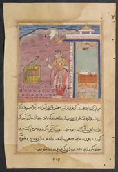 Page from Tales of a Parrot Tuti-nama: Forty-fourth Night: The Parrot Addresses