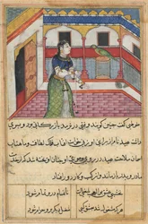 Page from Tales of a Parrot Tuti-nama: Forty-Second Night: The Parrot Addresses..., c. 1560