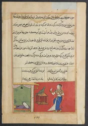 Page from Tales of a Parrot Tuti-nama: Forty-seventh Night: The Parrot Addresses Khujasta