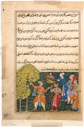 Page from Tales of a Parrot Tuti-nama: Ninth night: The king plucks fruit from the Tree