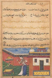 Page from Tales of a Parrot Tuti-nama: Thirty-second Night: The Parrot Addresses Khujasta