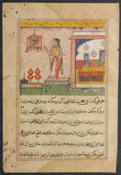 Page from Tales of a Parrot Tuti-nama: Twenty-third Night: The Parrot Addresses...