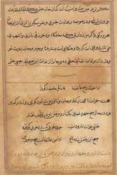 Page from Tales of a Parrot Tuti-nama: text page