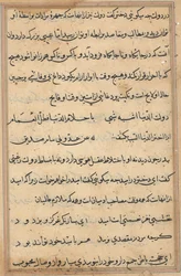 Page from Tales of a Parrot Tuti-nama: Text Page
