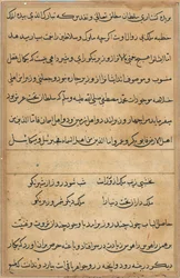 Page from Tales of a Parrot Tuti-nama: text page, c. 1560