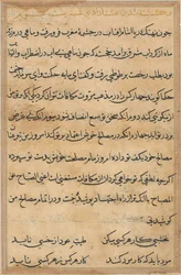 Page from Tales of a Parrot Tuti-nama: Text Page
