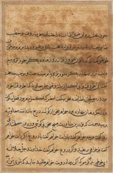 Page from Tales of a Parrot Tuti-nama: text page, c. 1560