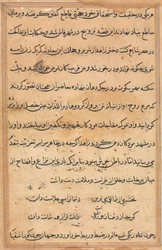 Page from Tales of a Parrot Tuti-nama: Text Page