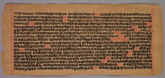Page from a Jaina Manuscript