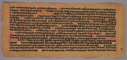 Page from a Jaina Manuscript