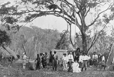 Paraguayan Tea Gathering, Paraguay