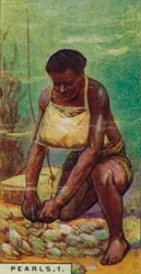 Pearls 1. Native Diver at Work, Ceylon