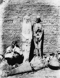 Photograph of mummies