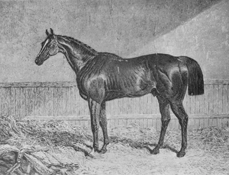 Plenipotentiary, 1831-1854, 1911