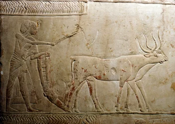 Ploughing from an Egyptian Stele, 18th Dynasty