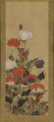 Poppies