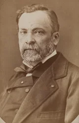 Portrait of Louis Pasteur