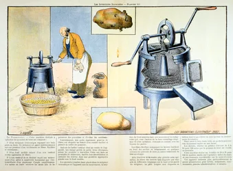 Potato peeler