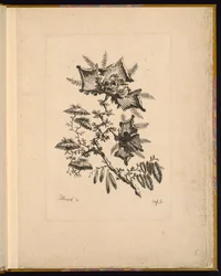Print