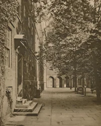 Pump Court in its Summer Garment of Leaves and Sunlight