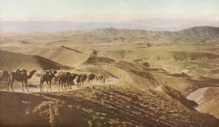 Punjab