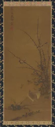 Quails, Other Birds, and Brambles