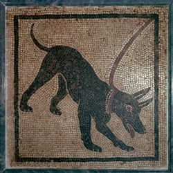 Roman Mosaic of a Dog