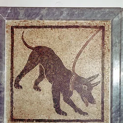 Roman Mosaic of Dog, Cave Canem, Pompeii, Italy