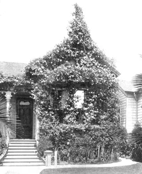 Rose Cottage, South Spring Street, Los Angeles, California, USA