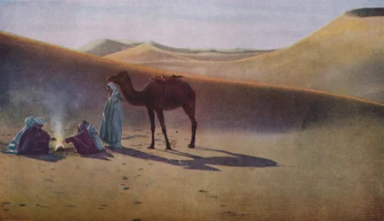 Sahara