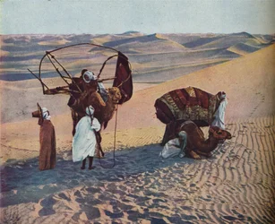 Sahara