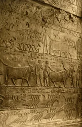 Saqqara - Tomb of Ptahotep - Mural Decoration, c1918-c1939