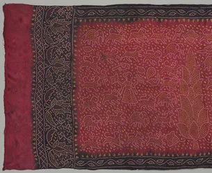 Sari
