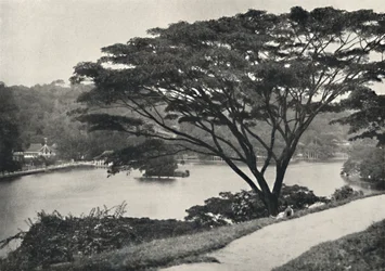 Temple of the Sacred Tooth and Library in Kandy, Seen from Victoria Drive to the East