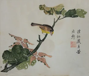 Seeds and Aleurites Cordata: Page from The Mustard Seed Garden Manual, 1782, 2nd Edition