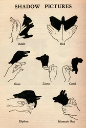 Shadow Pictures, 1937