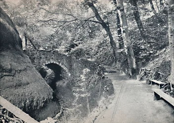 Shanklin - The Chine