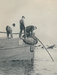 Shore End of a Submarine Cable is Generally Laid from a Lighter