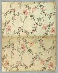 Sidewall, 1850–1900