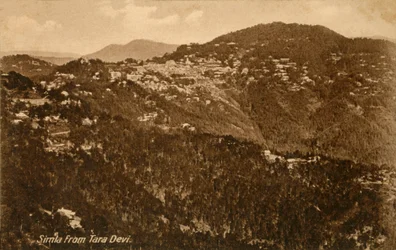 Simla from Tara Devi