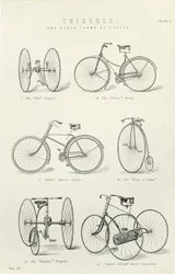 Six Early Forms of Bicycles and Tricycles, 19th Century
