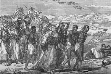 Slave Gang Crossing The African Desert, c1881-85