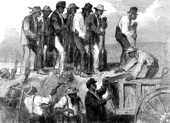 Slave Labour Strengthening the Fortifications of Savannah, Georgia, American Civil War, 1863