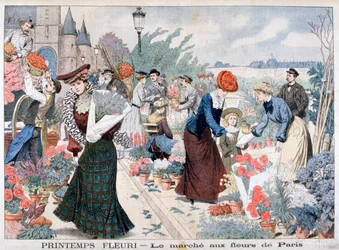 Spring flowers in a market, Paris