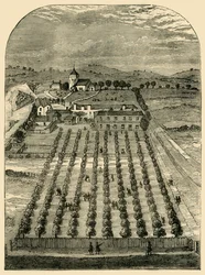 St Pancras Wells and Church in 1700