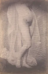 Standing Female Nude