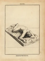 Statue of Hermaphroditus, Greek god of unions, androgyny, marriage, sexuality, prone on a bed